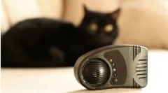 Дисперс гризач електрокот